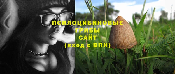 гашик Армянск