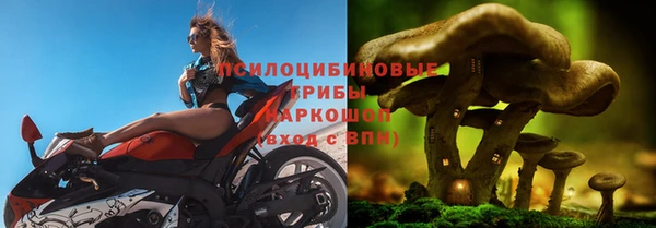 apvp Алексеевка
