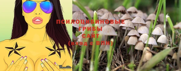 марки nbome Алзамай