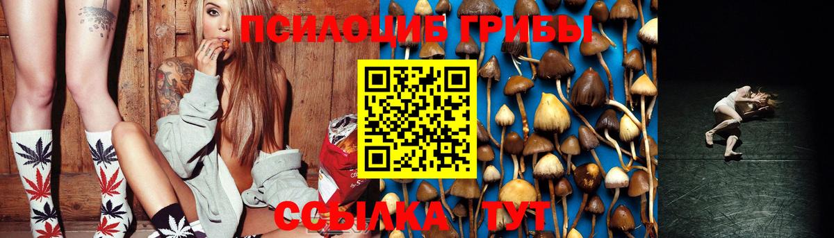 Новороссийск  Галлюциногенные грибы GOLDEN TEACHER  Вход с VPN 