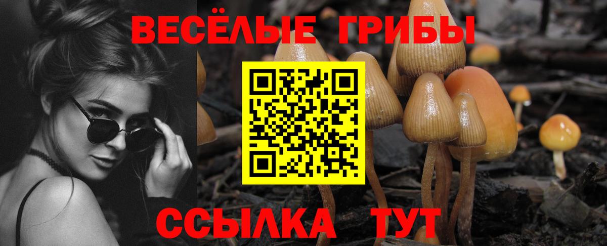 Псилоцибиновые грибы мухоморы Новороссийск