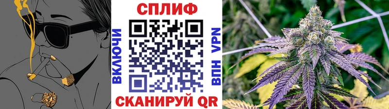 Марихуана гибрид купить цена даркнет официальный сайт Новороссийск